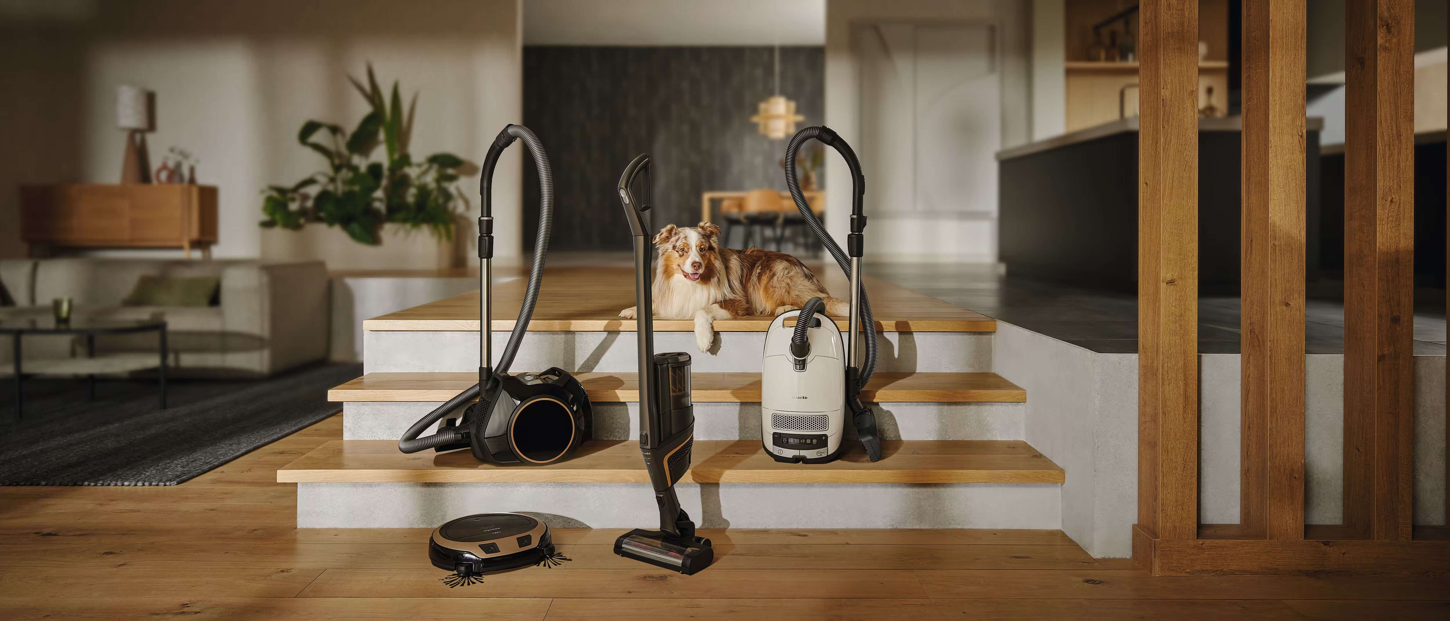 Why We've Recommended Miele Vacuums for Almost a Decade.